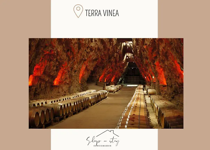 Appartamento La Terasse Carcassonne