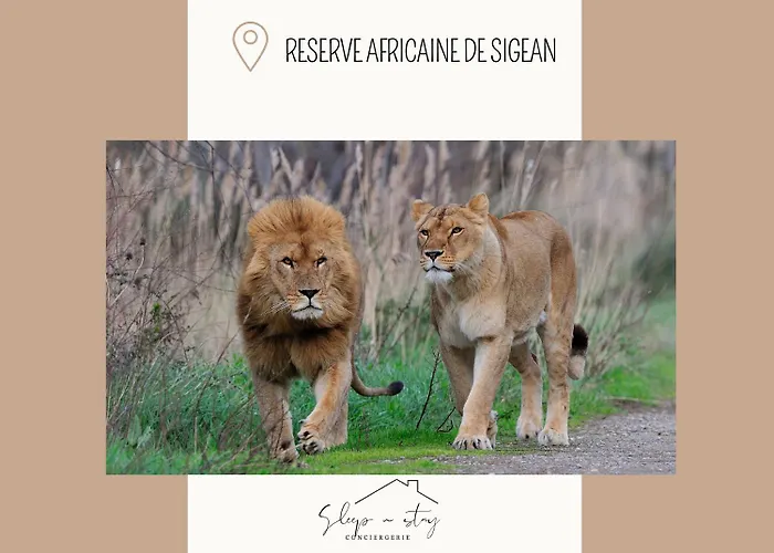 La Terasse Carcassonne