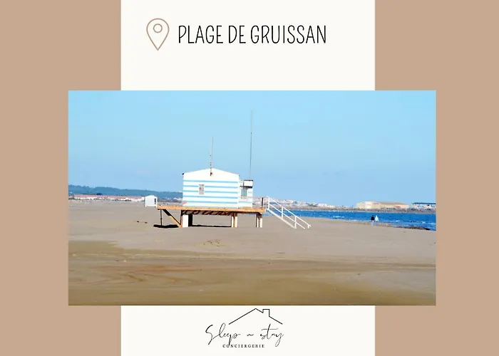 La Terasse * Carcassonne